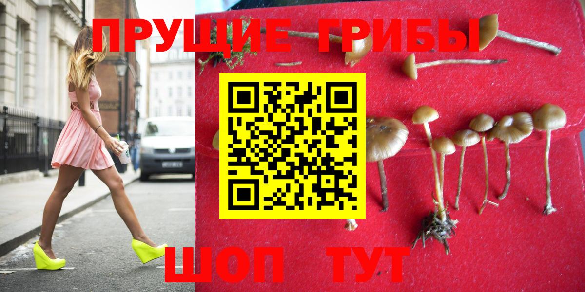 Псилоцибиновые грибы прущие грибы Еманжелинск